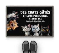 Cadeau Plus Tapis Personnalisé Prénom - Gâté Pourri - Paillasson Personnalisé, Paillasson Entree, Tapis personnalisé entrée, paillasson Interieur personnalisé (#5)