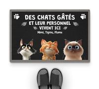 Cadeau Plus Tapis Personnalisé Prénom - Gâté Pourri - Paillasson Personnalisé, Paillasson Entree, Tapis personnalisé entrée, paillasson Interieur personnalisé (#3)