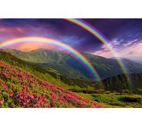 Cadeau pour garçons de 1 an, Puzzle D, 1000 pièces, beauté Naturelle, Fleurs, Arc-en-Ciel,26x38cm
