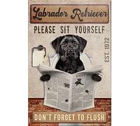 Cadeau pour Labrador Retriever Ls Labrador Retriever Plaque décorative en métal Poster mural 20,3 x 30,5 cm