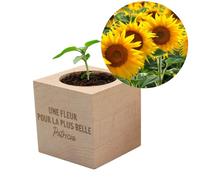 CADEAUX.COM - Ecocube Message Persil - Fête des Mères - Idée Cadeau Personnalisé - Cadeau Original pour Maman - Ecocube Personnalisé à Offrir à Maman - Anniversaire - Cadeau Femme
