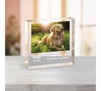 Cadeaux Commémoratifs Personnalisés Chien Chat, Cadre Photo pour Animaux de Compagnie Personnalisable avec Photo, Nom et Date, Plaque Commémorative pour Animaux de Compagnie (Style 2)