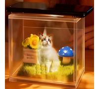 Cadeaux Commémoratifs Personnalisés pour Chiens, Projection 3D, Maison Numérique Holographique pour Animaux De Compagnie, Personnalisée avec Nom Et Date