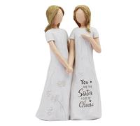 Cadeaux d'amitié pour femmes soeurs figurines, cadeaux d'anniversaire de sœur peintes à la main sculptées - vous êtes la sœur que j'ai pu choisir des cadeaux drôles de résine à l'épreuve d'eau p
