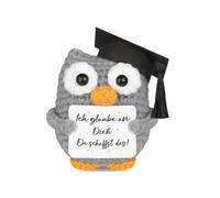 Cadeaux D'anniversaire de Graduation, Decoration Maison, Idee Drole, Chouette Positive avec Porte-Bonheur, Peluche Motivation, Idée Cadeau Anniversaire, Fête, Réussite Examens, pour Femme Homme