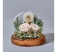 Cadeaux D'anniversaire De Roses Stabilisées For Elle, Roses Et Pissenlits,Fleurs Naturelles Pour La Fête Des Mères, Livraison Express De Fleurs, Pour La Décoration D'intérieur(Light Chocolate)