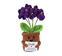 Cadeaux de remerciement tricotés multicolores myosotis - Poupée - Pomme de terre positive allemande - Petit cadeau de remerciement pour amis, collègues et famille