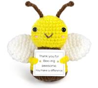 Cadeaux pour Enseignant, Cadeaux de Remerciement pour collègue, employé, Patron, infirmière, Mentor, Cadeaux de départ à la Retraite, Cadeaux d'adieu pour Elle, Abeille au Crochet Positive Faite Main