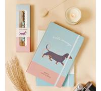 Cadeaux pour les amoureux des chiens, coffret cadeau de papeterie avec chiens sur cadeaux pour les amoureux des chiens, coffrets cadeaux pour femmes et filles, moments scriptés (coffret cadeau teckel)