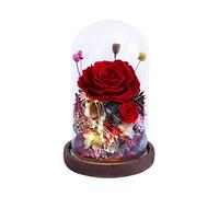 Cadeaux Rose Saint Valentin, Rose Rouge Qui Dure pour Toujours dans Un Dôme en Verre avec Lumières LED Base en Bois Rose Enchantée pour Femmes Filles Mamans Le Jour De La Fête des Mères Anniversaire