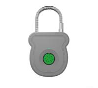 Cadenas de reconnaissance d'empreintes digitales avec chargement USB pratique, idéal pour un usage personnel et professionnel (gris)