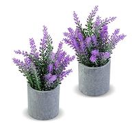CADNLY Lot de 2 Plantes de Lavande artificielles en Pot - Fleurs artificielles de Lavande artificielles en Pot - Décoration Moderne de Ferme - Lavande Violette pour Salle de Bain, Chambre à Coucher,