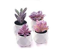 CADNLY Lot de 4 Fausses Plantes succulentes - Plantes artificielles de Bureau pour Femme - Plantes succulentes artificielles réalistes dans des Pots en céramique - Mini décoration Violette pour