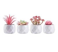 CADNLY Petite Plante de Bureau - Décoration de Bureau Rose pour Femme - Plantes succulentes artificielles - Plantes succulentes artificielles dans des Pots en céramique Blanche - Mini décoration