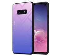 cadorabo Housse Compatible avec Samsung Galaxy S10e en Rose - Bleu - Coque de Protection Bicolore en Silicone TPU et Dos en Verre trempé