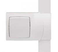 cadre 1 poste pour moulure dlplus hauteur 20 mm - legrand 031408