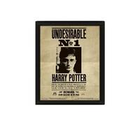 Cadre 3D - Harry Potter - Sirius