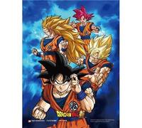 Cadre 3D lenticulaire Pyramid Dragon Ball Power Of Saiyans Multicolore 20,5x4,5x25,5 cm