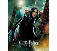 Cadre 3D lenticulaire Pyramid Harry Potter Deathly Hallows Snape Noir 25,5x20,5x4,5 cm