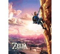 Cadre 3d - Zelda Breath Of The Wild - Escalade