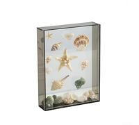 Cadre acrylique à faire soi-même conçu pour exposer des fleurs séchées ou des coquillages, structure transparente creuse qui améliore la lumière et l'attrait visuel, cadre de 26 x 31 cm (gris)