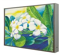 Cadre avec Cadre en Bois laqué Blanc éclairé avec lumière LED Plumeria