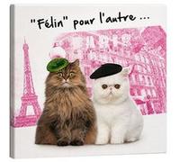 Cadre chats Félin pour l'autre Paris 40 x 40 cm MULTICOLORE G