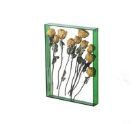 Cadre creux en acrylique pour fleurs séchées ou coquillages, améliore la transmission de la lumière et la présentation artistique, 26 x 31 cm (vert)