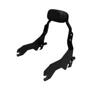 Cadre d'accoudoir Appui-dos de passager détachable pour moto, barre Sissy, Convient pour Harley Softail Low Rider Fxlrs Fxlrst 2018 - 2025(For Street Bob)