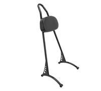Cadre d'accoudoir Barre Sissy noire pour passager arrière de moto, avec coussin de dossier, Convient pour Harley Sportster XL Iron 883 2004-up