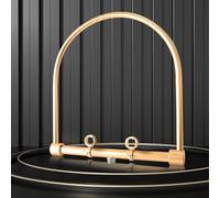 Cadre de circulation d'eau professionnel Head Spa 41 cm x 39,5 cm en aluminium doré avec kit de montage et tuyau