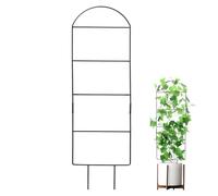 Cadre de levage - Structure en métal réglable antirouille, petit piquet de soutien, matériel d'escalade, guide efficacement Pothos Monstera approvisionnement floral, engrenage rigide vert
