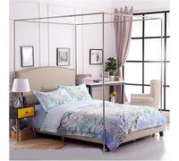 Cadre de lit à baldaquin en acier inoxydable avec moustiquaire, décoration élégante de chambre à coucher, structure de lit à plateforme queen size pour un intérieur élégant