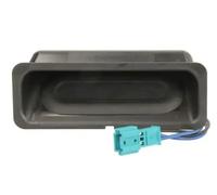 Cadre de poignée de porte 6010-05-011417P BLIC pour BMW 5 Touring 5
