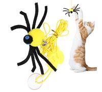 Cadre de Porte Jouet pour Chat - Cordon Élastique Spider Game Teaser | Cordon Élastique Chat Jouet Interactif Exercice Et Amusant | Jouet pour Animaux de Compagnie - Chiot Petit Moyen Grande