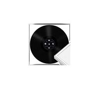 Cadre de Présentation 12,5" pour Vinyles 33 Tours Mural en Aluminium Gris