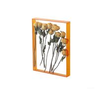 Cadre de présentation de fleurs en acrylique transparent pour fleurs séchées, boîte de rangement créative en acrylique, 5 couleurs, illuminez votre (orange)