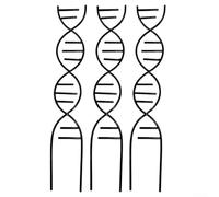 Cadre de support en fer pour plantes grimpantes en pot avec ADN en forme d'hélix pour plantes grimpantes en pot, y compris Pothos Ivy et Philodendron (Noir)