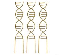 Cadre d'escalade en fer pour intérieur pour plantes en pot avec une forme en spirale ADN distinctive pour soutenir les vignes grimpantes et ajouter une touche artistique à n'importe quelle pièce (doré