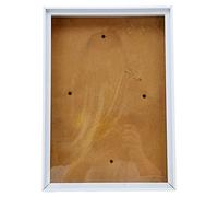 Cadre d'image avec support Facile à démonter le cadre photo décoratif en plastique pour coquilles de fleurs séchées Affichage mural décor 12 x 8,5 pouces (Blanc)