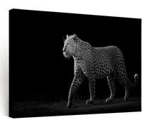 Cadre en Bois Impression sur Toile Noir Et Blanc Léopard - Photographie Faune Sauvage Tableau Affiche Decoration Murale Image sur Toile, Peinture Tableau Decoration Salon Chambre 120 x 60 cm