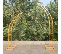 Cadre en métal pour toile de fond en arche - Support incurvé robuste pour mariage, fête et décoration de photographie