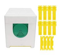 Cadre en mousse pour abeilles, boîte d'accouplement, boîte de pollinisation, outil pour apiculture, équipement pour apiculture, balcon de cour, amusant, léger et Durable