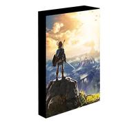 Cadre enfant Pyramid Legend Of Zelda Into The Wilds Bleu 30x40x3,8 cm