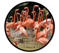 Cadre FLAMINGO GT6542 PINTDECOR