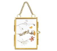 Cadre flottant avec chaîne - Mini cadre en laiton et verre - Support photo mural en métal - Cadre de présentation élégant de 5,8 x 7,6 cm - Pour l'art floral pressé dans le style vintage - Bricolage
