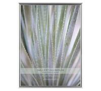 Cadre galerie en aluminium argent MCS 9 x 12 pouces (44921)