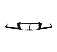 Cadre, grille de radiateur BLIC 6502-07-0060994P