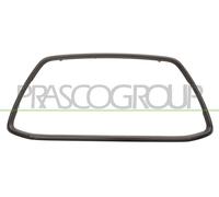 Prasco Pièces de grille de radiateur BLIC 6502-07-3751995Q