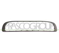 Blic Cadre / grille de radiateur PRASCO MN3102325